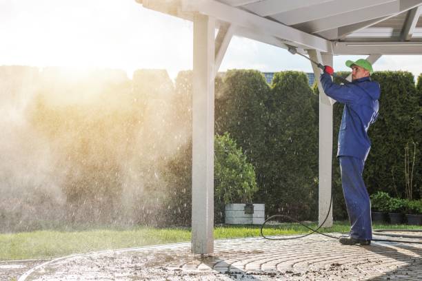 Best Roof Washing  in Eagle Point, AL